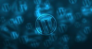 WordPress Support vom SEO Freelancer